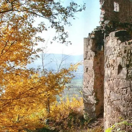 Zur Altach Apartman
