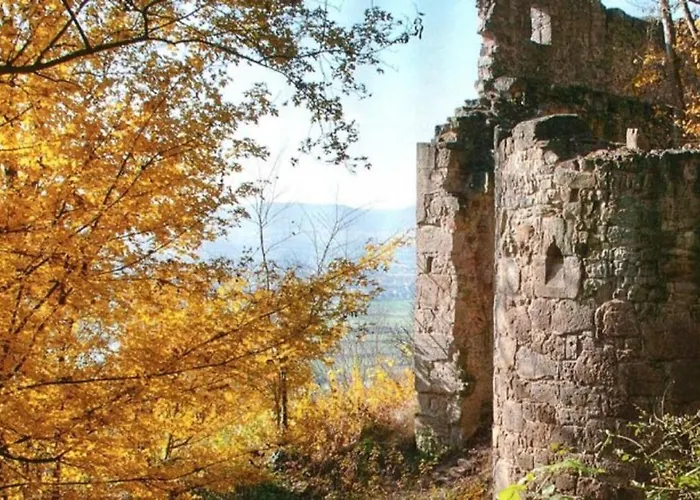 Zur Altach Apartman